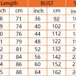 cessna 310raglan tshirt4 fp748