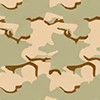 Desert Camouflage Uniform DCU